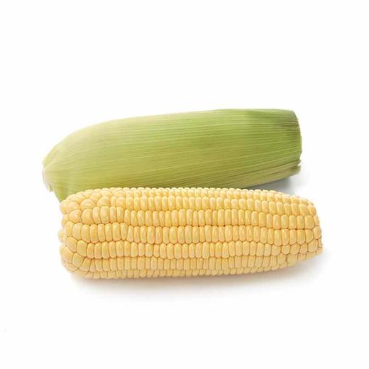【蔬】新鲜甜玉米 2根约620g 商品图0