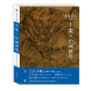 细品名画 王蒙的绘画世界 元四家山水画原大艺术美院国画临摹画册范本理论书 原大级高清图鉴 原作式绘画——四川美术出版社 商品缩略图0