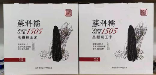 农科院黑玉米 商品图1