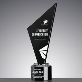 黑水晶奖杯创意优秀员工奖品奖牌比赛荣誉定制定做个性高档纪念品