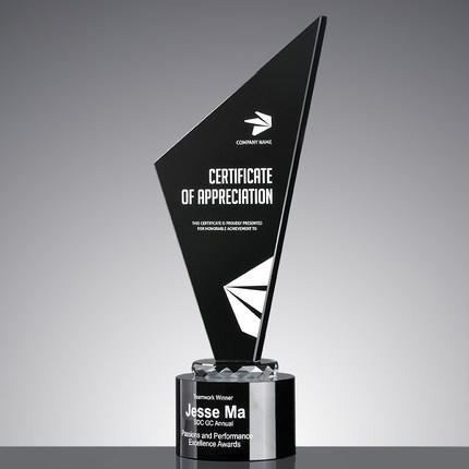 黑水晶奖杯创意优秀员工奖品奖牌比赛荣誉定制定做个性高档纪念品 商品图0