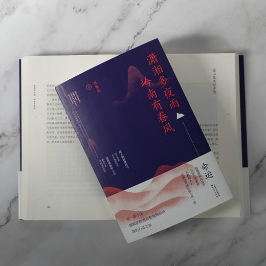 潇湘多夜雨 岭南有春风 商品图2