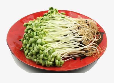 绿豆芽 约500g 商品图0