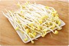 黄豆芽 约500g 商品缩略图0