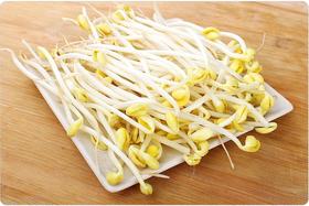 黄豆芽 约500g