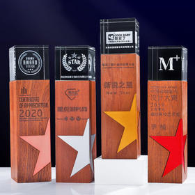 创意金属五角星实木水晶3D激光内雕奖杯定制定做奖牌荣誉颁奖刻字
