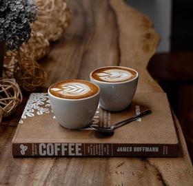 咖啡创业套餐丨咖啡机＋烤豆机 ＋ 磨豆机＋过滤器＋咖啡豆＋拉花配件套＋速成班＋免邮