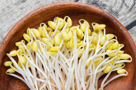 黄豆芽 约500g 商品图2