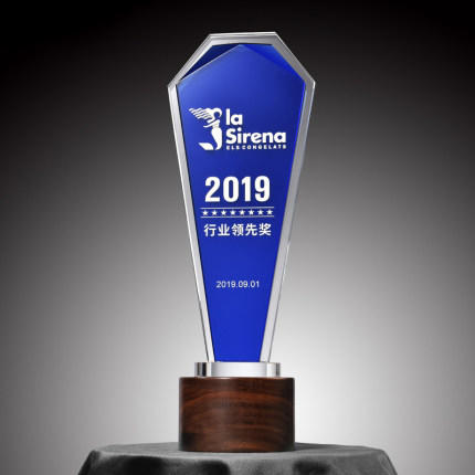 实木奖杯定制奖牌水晶创意蓝色定做高档刻字照片退休比赛木制奖品 商品图2