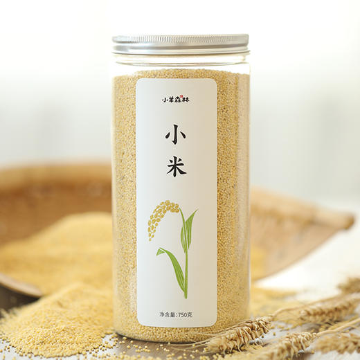 「小米」农家自然种植 清香甘甜 煮粥熬米油都适宜 商品图0
