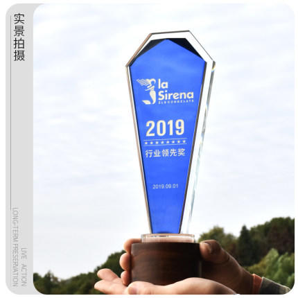 实木奖杯定制奖牌水晶创意蓝色定做高档刻字照片退休比赛木制奖品 商品图1