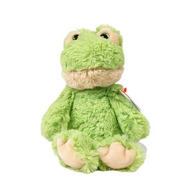 TY绿蛙弗洛德毛绒小号65020生日公仔礼物玩具