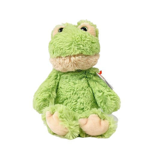 TY绿蛙弗洛德毛绒小号65020生日公仔礼物玩具 商品图0