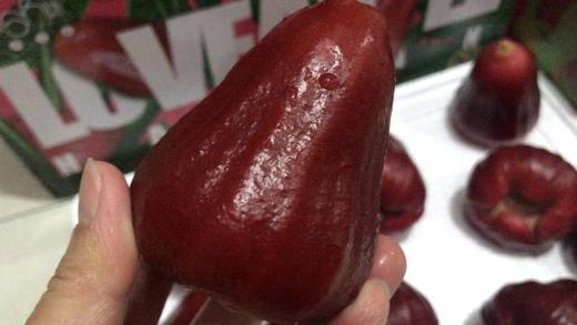 【顺丰包邮】种植海南黑金刚莲雾，品质上乘，水润多汁，清甜可口基地直邮 商品图2