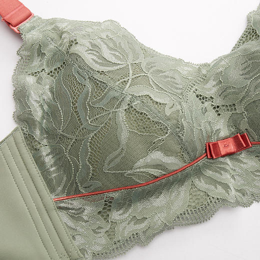 雅黛丽内衣蕾丝杯面大胸显小亲肤舒适聚拢侧收无钢圈胸罩 商品图2