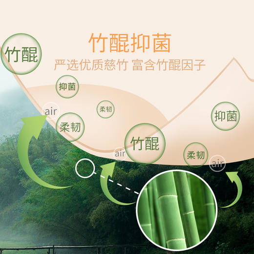 竹妃竹纤维无芯卷纸（48卷/箱） 商品图4