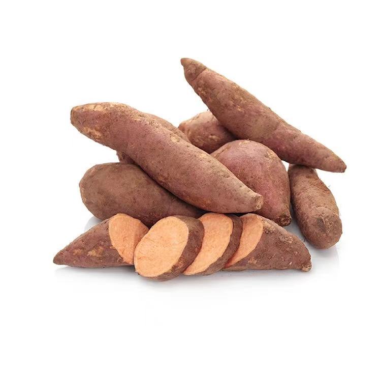 【蔬】沙地蜜薯 约500g