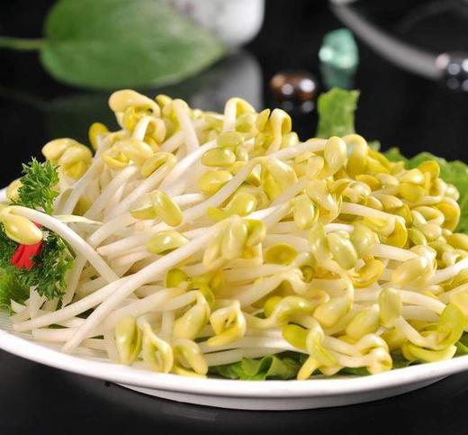 黄豆芽 约500g 商品图1