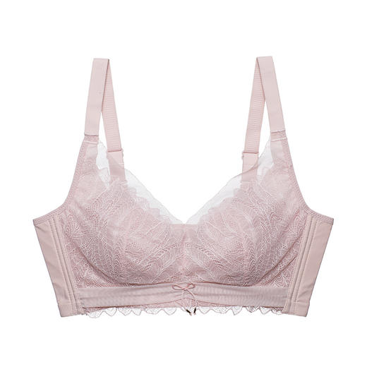 雅黛丽内衣女薄杯性感蕾丝侧收聚拢无钢圈兔耳杯女士胸罩 商品图1