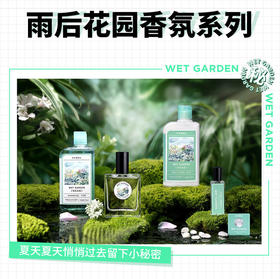 雨后花园的故事