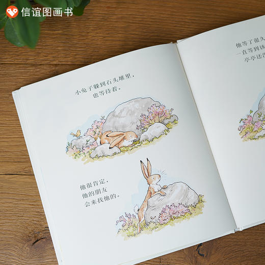 信谊 世界精选图画书 猜猜我有多爱你 你愿意做我的朋友吗？ 商品图3