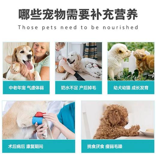 卫仕化毛膏/营养膏120g*2支 商品图5