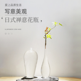 【家居摆件】日式花瓶透明玻璃禅意境界新中式家居装饰摆件小口茶室插花器水培