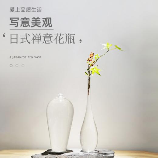 【家居摆件】日式花瓶透明玻璃禅意境界新中式家居装饰摆件小口茶室插花器水培 商品图0