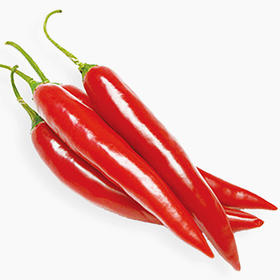 [庭院种子] 朝天椒种子 "天祺"