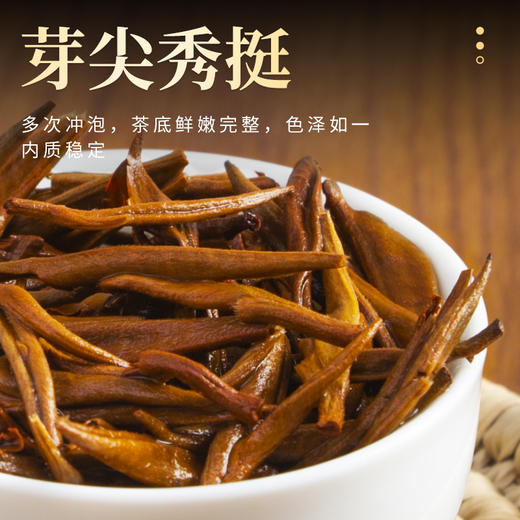 【臻尖-至尚】新茶凤庆滇红金丝单芽工夫红茶125g*2罐 商品图3