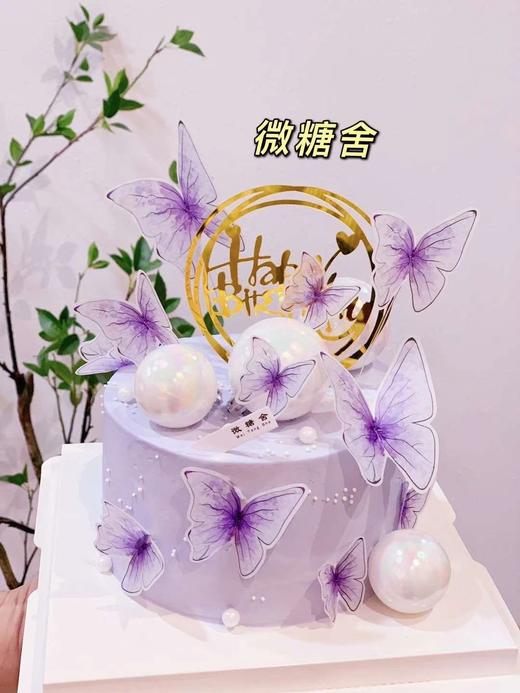 紫色蝴蝶 商品图0