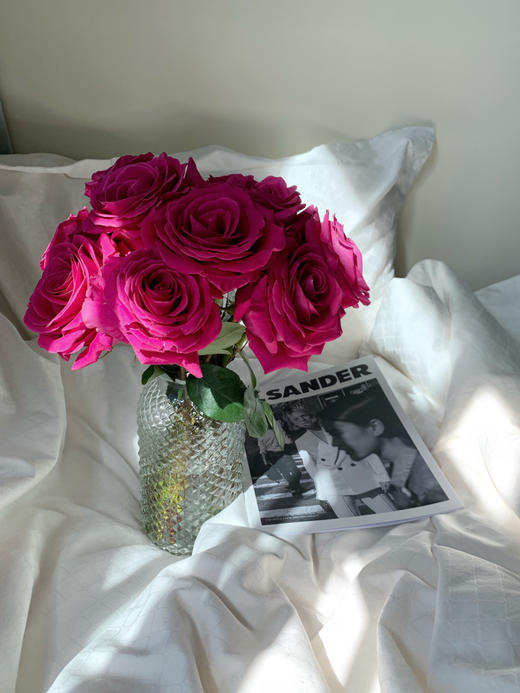 弗洛伊德/梦境【我自风情万种 与世无争】简小姐精选 A级稀有玫红色 兰蔻“御用玫瑰” 弗洛伊德9+1枝(防花损）2束包邮 下单5天发货 商品图4