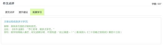 AI作文批阅月卡 商品图4