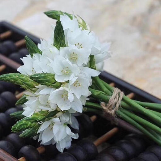 配花-雀梅-白色-10支 商品图0