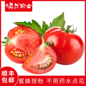 非转基因的蔬果就安全？有些西红柿含激素，注意别给孩子吃！