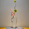 【家居摆件】日式花瓶透明玻璃禅意境界新中式家居装饰摆件小口茶室插花器水培 商品缩略图2