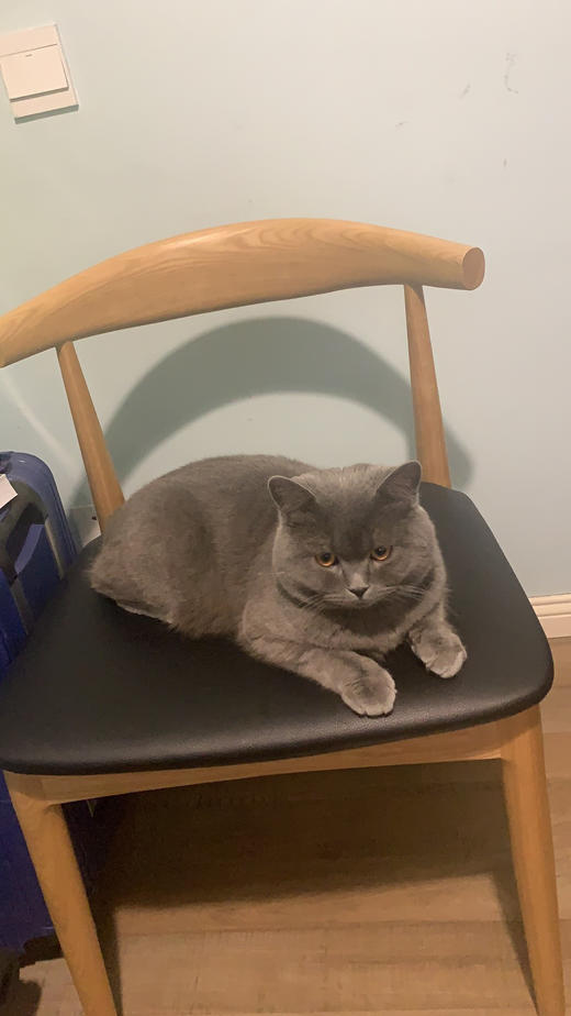 yy测试专用 商品图0