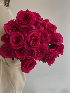 弗洛伊德/梦境【我自风情万种 与世无争】简小姐精选 A级稀有玫红色 兰蔻“御用玫瑰” 弗洛伊德9+1枝(防花损）2束包邮 下单5天发货