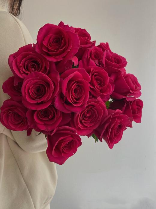 弗洛伊德/梦境【我自风情万种 与世无争】简小姐精选 A级稀有玫红色 兰蔻“御用玫瑰” 弗洛伊德9+1枝(防花损）2束包邮 下单5天发货 商品图0