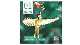 【花丘•心语】