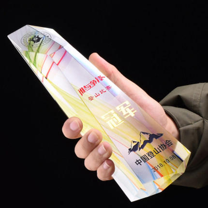 水晶奖杯奖牌定制创意刻字纪念品定做高档荣誉奖牌制作加盟商礼品 商品图2