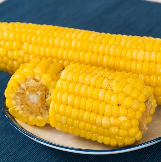 【大河特供】天景粘玉米（20根/箱） 商品图0