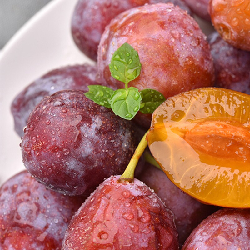 智利进口西梅 J级别