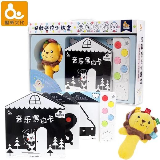 T趣威早教感统训练盒 商品图0