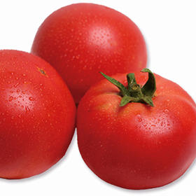 [庭院种子] 大粉果番茄种子 "粉利得"