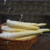 已下架 | 临安天目山春笋4斤装（带壳） 新鲜现挖竹笋 吃新鲜春笋“刮油”[福利品] 商品缩略图2