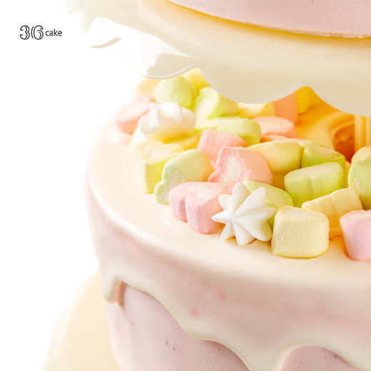 （此款仅限深圳配送）企业定制蛋糕多层款-甜心公主 商品图1