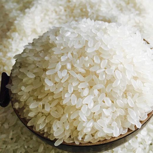 黑土嘉禾长粒香米10kg 商品图1