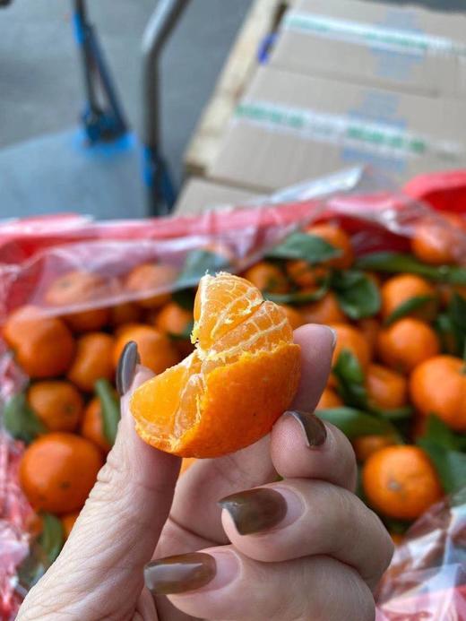 周四取货：【砂糖橘】一份2斤左右，皮薄多汁肉嫩，香甜无渣，沁心润喉！ 商品图6