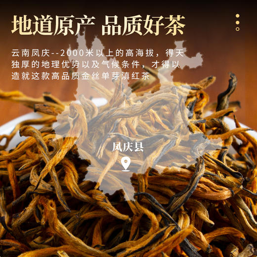 【臻尖-至尚】新茶凤庆滇红金丝单芽工夫红茶125g*2罐 商品图1